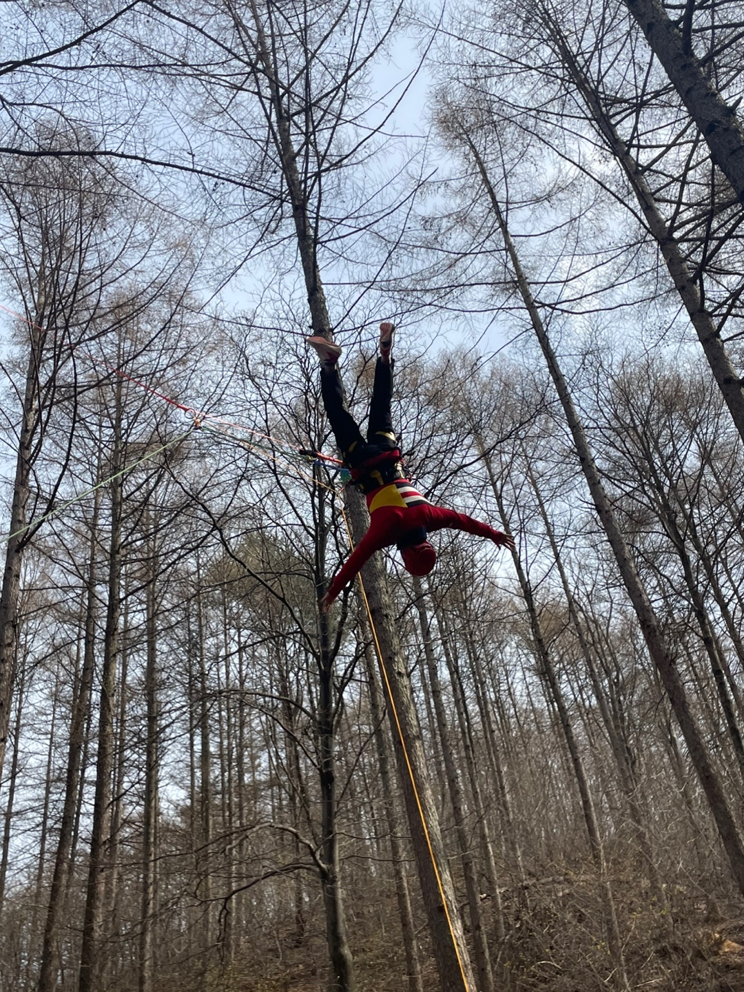 KakaoTalk_20250418_101219435_16